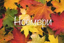 Именни дни през Ноември