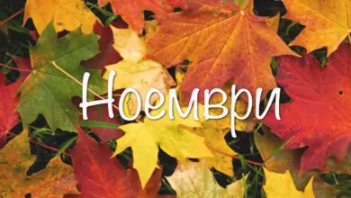 Именни дни през Ноември