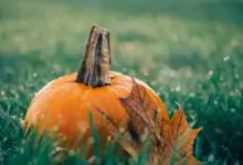 Именни дни през Октомври