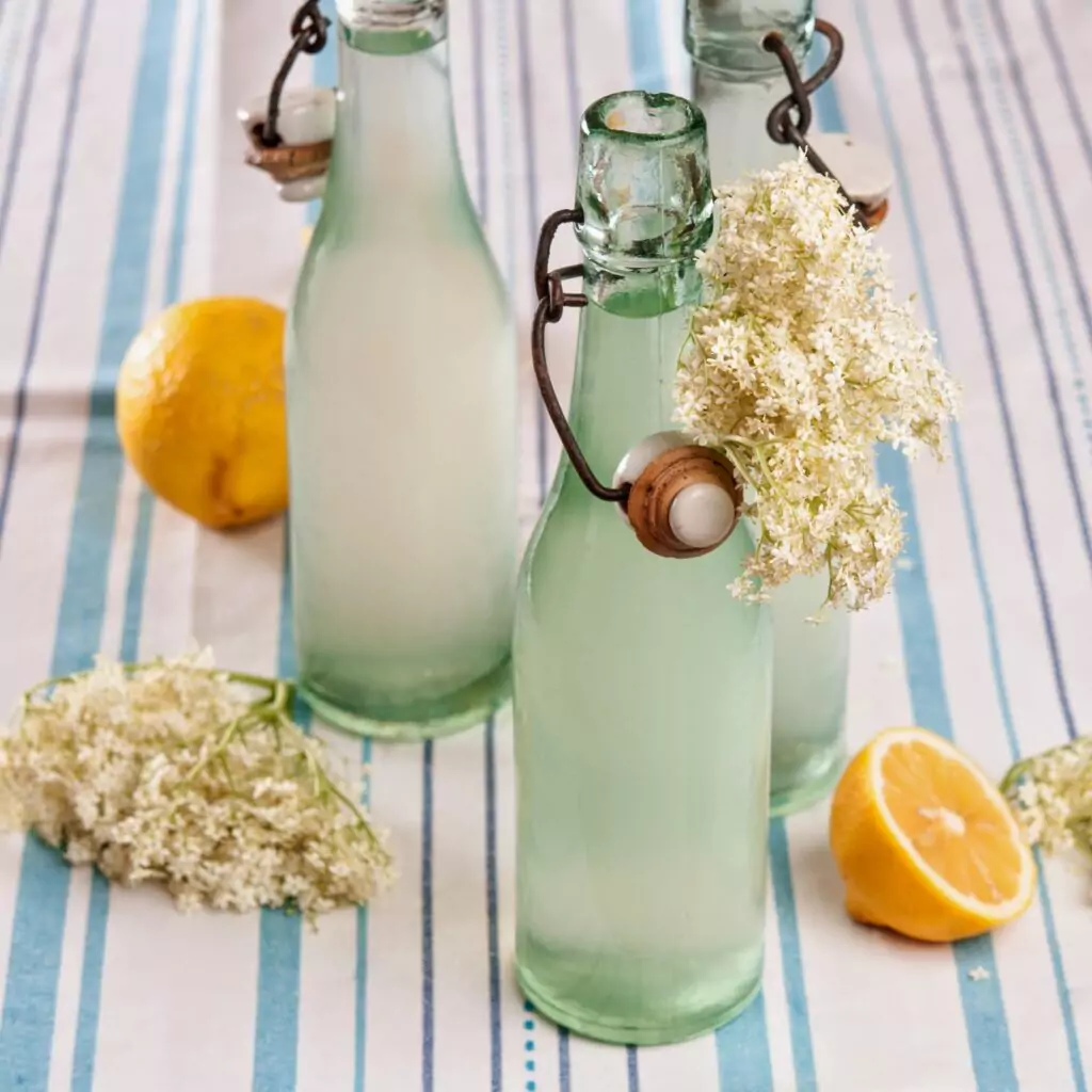 Бъзът бори вирусите Бъзът бори вирусите