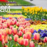 Именни дни през Май