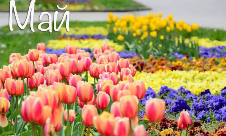 Именни дни през Май