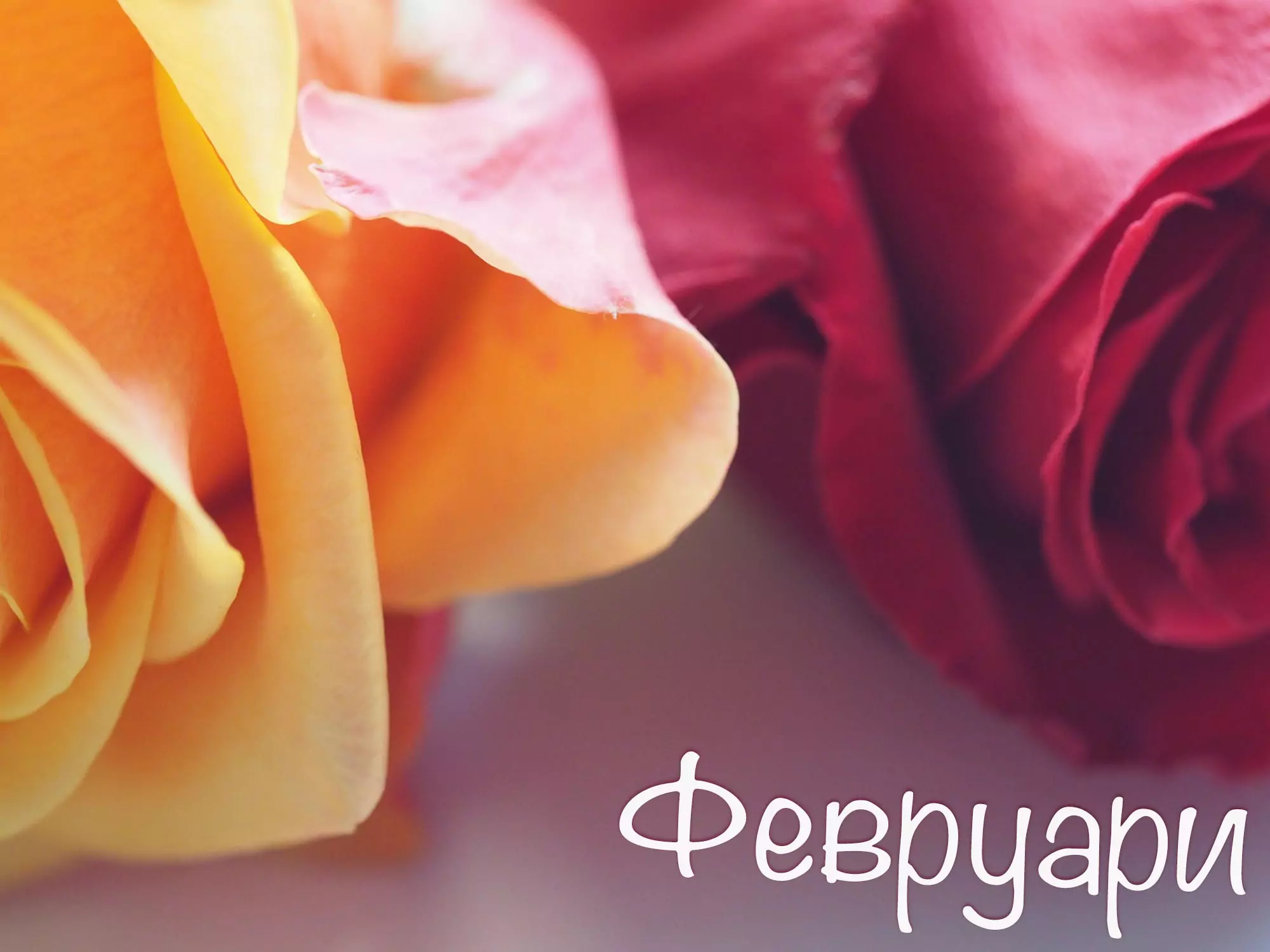 Именни дни през февруари