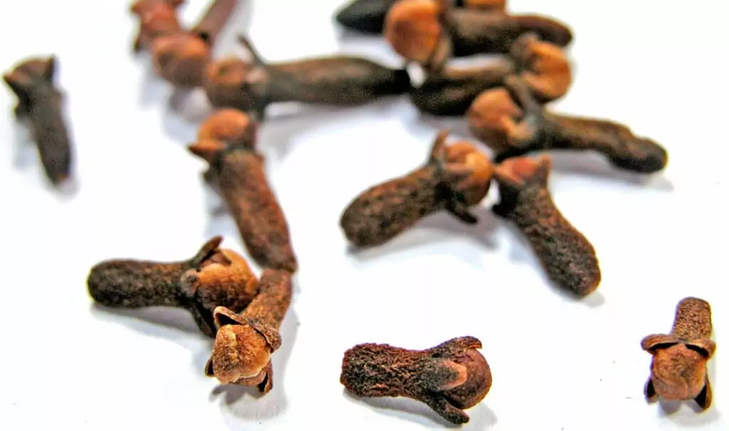 10 подправки за страстен секс - карамфил 10 подправки за страстен секс - карамфил