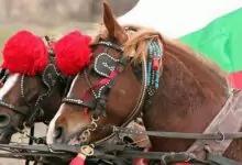 Тодоровден - обичаи и трапеза