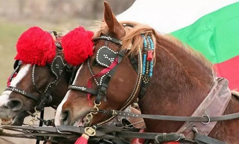 Тодоровден - обичаи и трапеза
