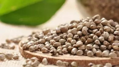 конопено семе