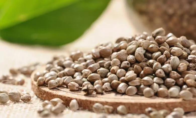 конопено семе