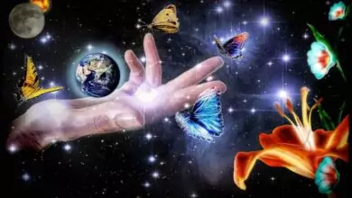 Законите на Вселената