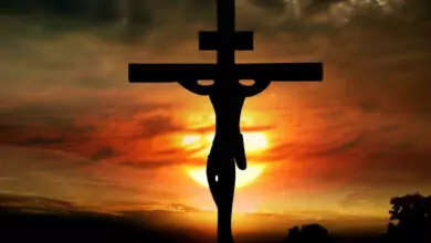 Кръстопоклонна неделя