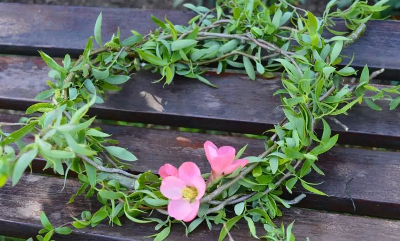 обичаи - Цветница, Връбница