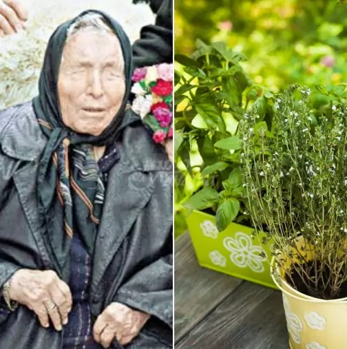 Рецепти на Баба Ванга с билки Рецепти на Баба Ванга с билки