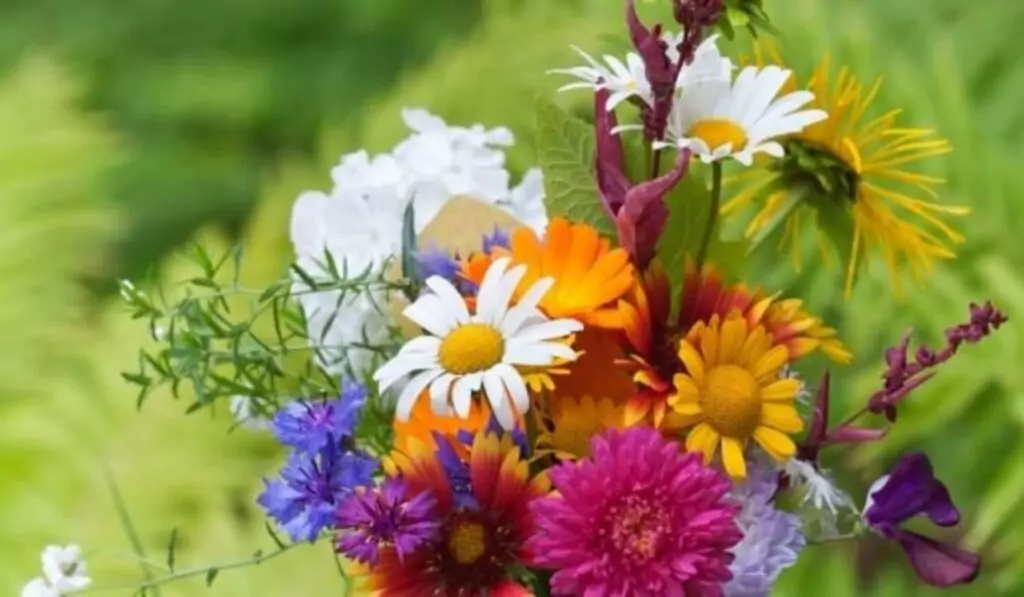 Трапезата на Цветница Трапезата на Цветница