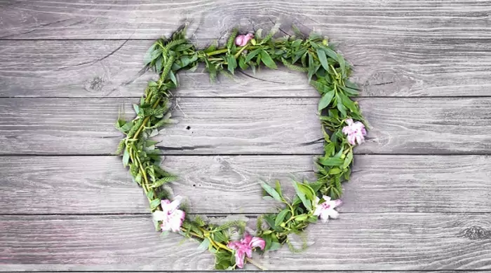 Къде да поставим върбовата клонка Къде да поставим върбовата клонка