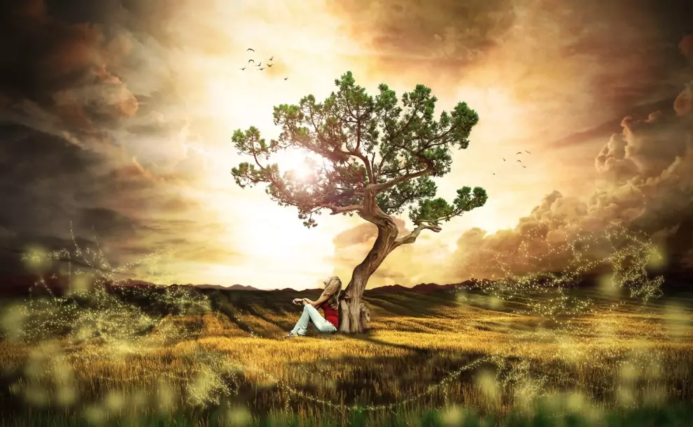 Елемент Дърво Елемент Дърво