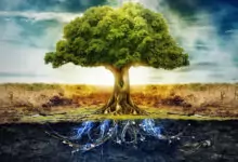 Елемента дърво