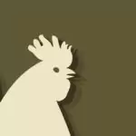 Петел - китайски хороскоп Петел - китайски хороскоп