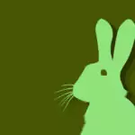 Заек - китайски хороскоп Заек - китайски хороскоп