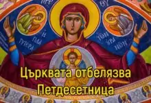 Петдесетница - рожден ден на Христовата църква