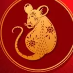 Плъх - китайски хороскоп Плъх - китайски хороскоп