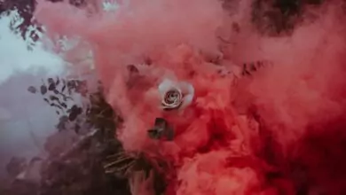 Прогноза за връзката ви според цветовете