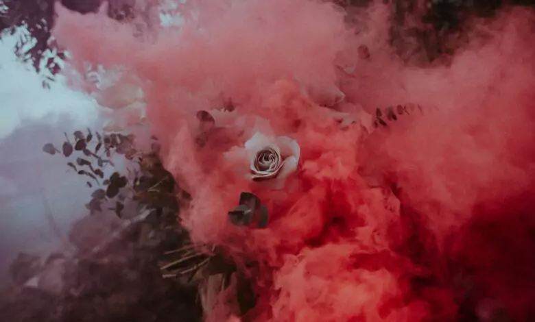 Прогноза за връзката ви според цветовете