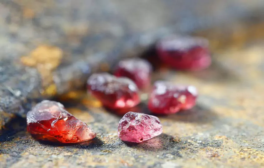 Гранат през февруари Гранат през февруари