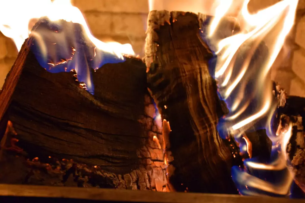 Бъдник - Бъдни вечер Бъдник - Бъдни вечер