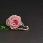 Именници днес