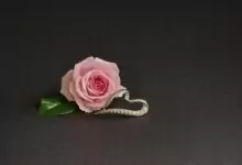 Именници днес