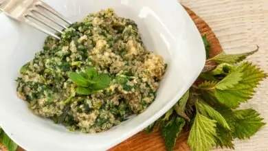 коприва с киноа