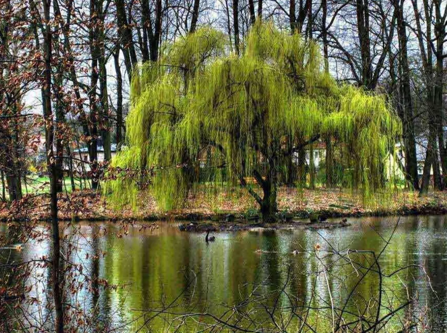 Магията на Цветница