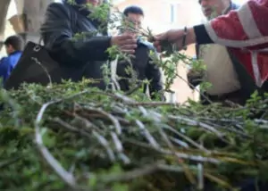 Магията на Цветница