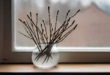 Върбови клонки с пухкави пъпки в стъклена ваза на перваза на прозорец.