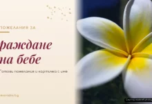 Пожелания за раждане на бебе