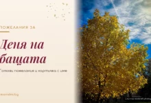Пожелания за Деня на бащата