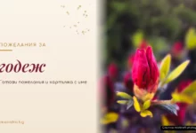 Пожелания за годеж