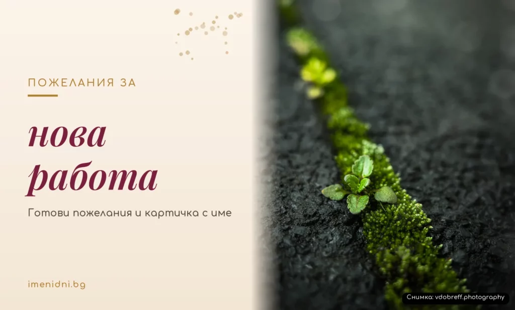 Пожелания за нова работа