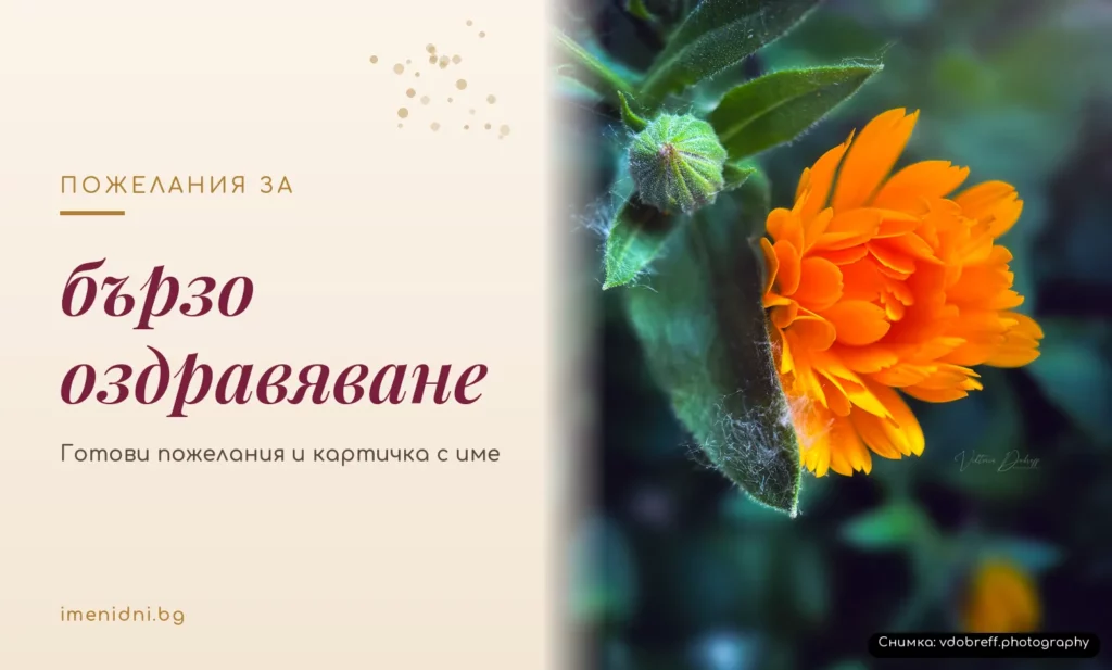 Пожелания за бързо оздравяване
