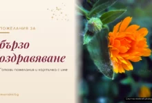 Пожелания за бързо оздравяване
