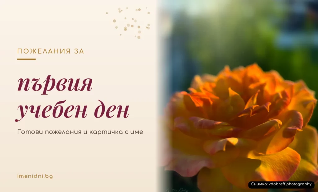 Пожелания за първия учебен ден