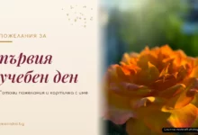 Пожелания за първия учебен ден