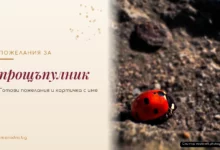 Пожелания за прощъпулник